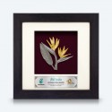 6" x 6" Frame with Gold Plated Pewter : Birds Of Paradise